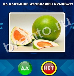 Да или Нет игра помощь Уровень 255