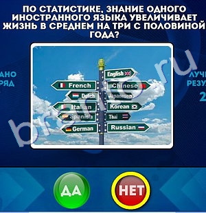 Игра Да или Нет подсказки Уровень 258