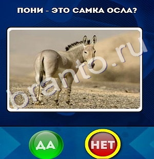 Да или Нет игра ответы Уровень 263