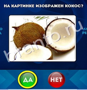 игра Да или Нет помощь Уровень 269