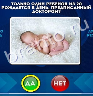 решебник на игру Да или Нет Уровень 311