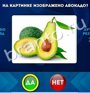 Да или Нет решения Уровень 312