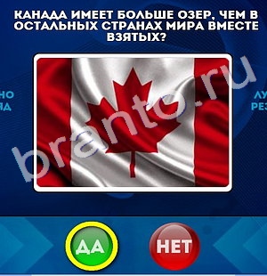 Да или Нет игра подсказки Уровень 314