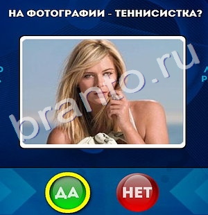 Да или Нет игра помощь Уровень 315