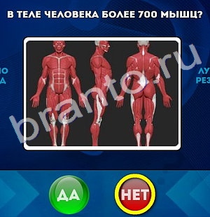 Да или Нет ответы в картинках Уровень 316