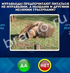 решебник на игру Да или Нет Уровень 321