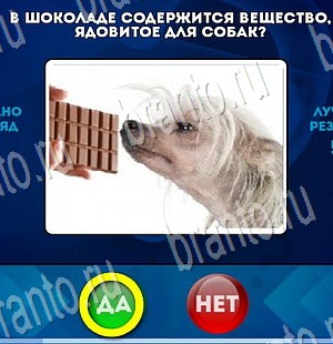 решебник на игру Да или Нет Уровень 3311