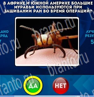Да или Нет игра подсказки Уровень 3324