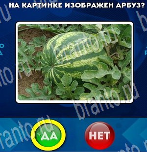Да или Нет игра помощь Уровень 3325