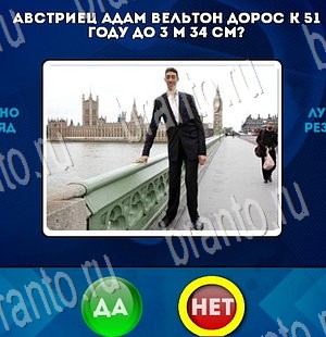 решебник на игру Да или Нет Уровень 3341