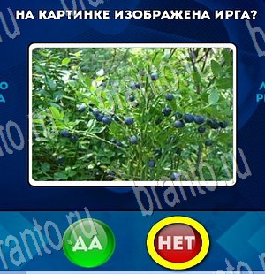 игра Да или Нет помощь Уровень 3359