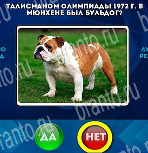 Да или Нет решения Уровень 3372