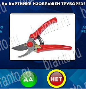 Да или Нет ответы в картинках Уровень 3376