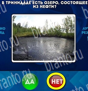 Игра Да или Нет ответы Уровень 3377