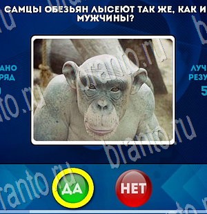Игра Да или Нет подсказки Уровень 3378