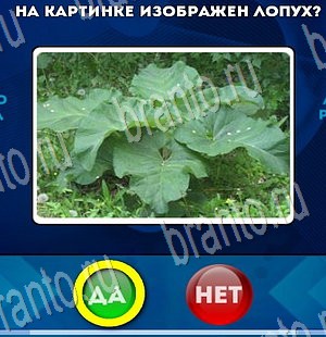 Да или Нет решения Уровень 3382