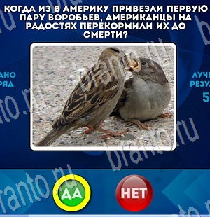 Да или Нет ответы в картинках Уровень 3386