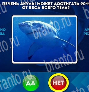 Игра Да или Нет ответы Уровень 3387