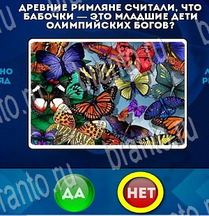игра Да или Нет ответ на Уровень 3390