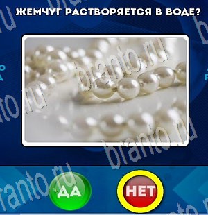 ответы к игре Да или Нет Уровень 3395