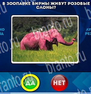 Да или Нет игра подсказки Уровень 3404