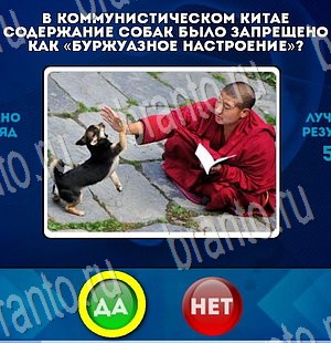 Да или Нет ответы в картинках Уровень 3406