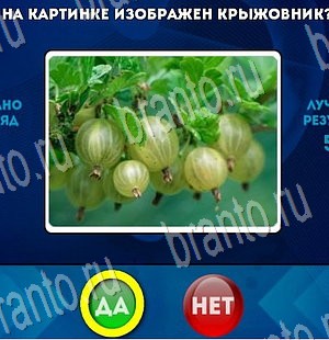 Да или Нет игра подсказки Уровень 3414