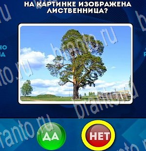 Игра Да или Нет ответы Уровень 3417