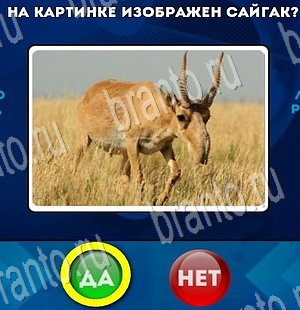 Игра Да или Нет подсказки Уровень 3418