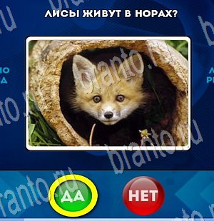 игра Да или Нет ответ на Уровень 3430