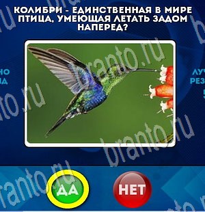 решебник на игру Да или Нет Уровень 3431