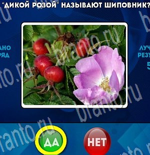 Да или Нет игра помощь Уровень 3435