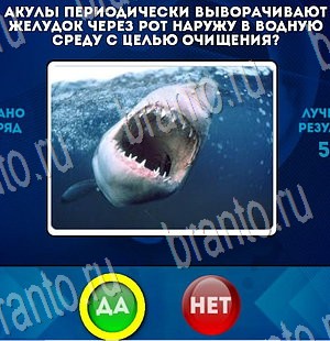 Да или Нет ответы в картинках Уровень 3436