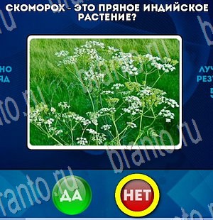 Да или Нет игра ответы Уровень 3443