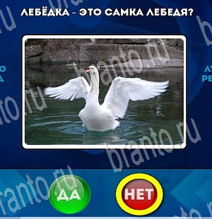 Игра Да или Нет ответы Уровень 3447