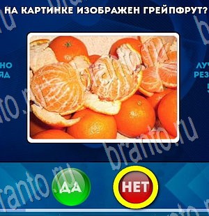 игра Да или Нет ответ на Уровень 3450