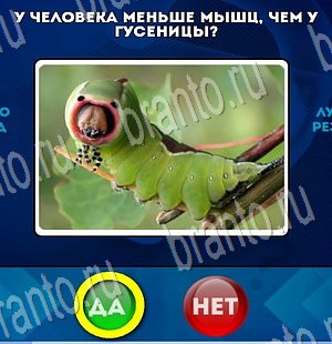 Подсказки на игру Да или Нет Уровень 3452