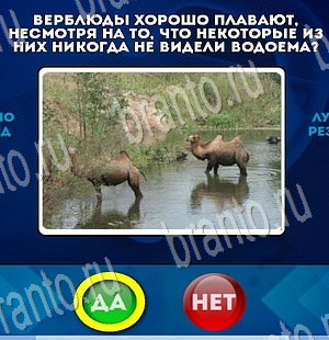 Да или Нет подсказки в контакте Уровень 3459