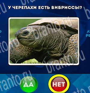 игра Да или Нет ответ на Уровень 3460