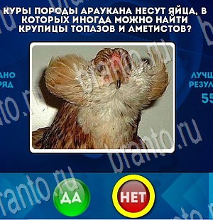 Игра Да или Нет ответы Уровень 3467
