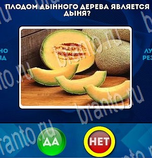 игра Да или Нет ответ на Уровень 3470