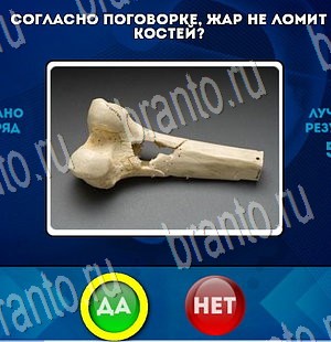 Да или Нет игра подсказки Уровень 3474