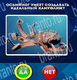 игра Да или Нет помощь Уровень 3499