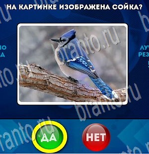 Да или Нет игра ответы Уровень 3503