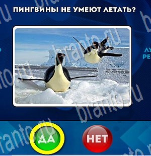 Да или Нет игра подсказки Уровень 3524