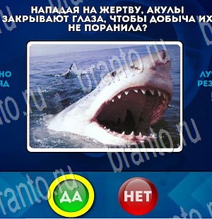 Да или Нет игра помощь Уровень 3525