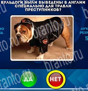 игра Да или Нет ответ на Уровень 3540