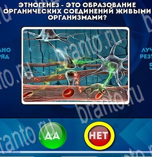 Да или Нет решения Уровень 3552