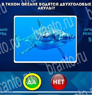 Да или Нет игра помощь Уровень 3555