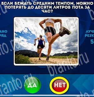 игра Да или Нет ответ на Уровень 3560